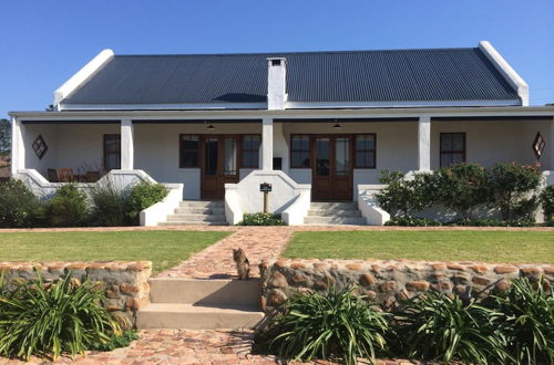 Photo 37 - Endless Vineyards at Wildekrans Wine Estate