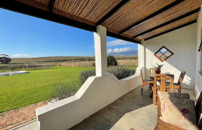 Endless Vineyards at Wildekrans Wine Estate - Foto 13