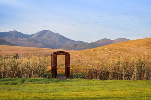 Photo 38 - Endless Vineyards at Wildekrans Wine Estate