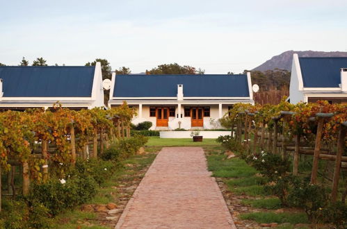 Photo 33 - Endless Vineyards at Wildekrans Wine Estate