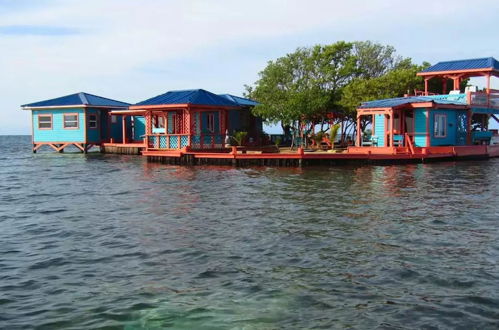 Foto 1 - Bird Island Placencia