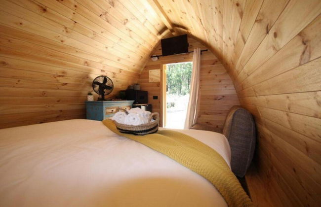 BIG4 Yarra Valley Park Lane Holiday Park - Foto 23