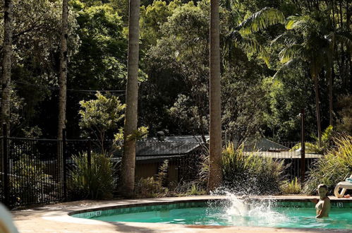 Photo 12 - Mt Warning Rainforest Park