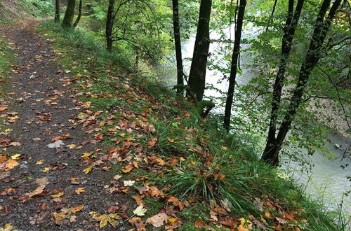 Photo 10 - Dirbach Plage Parc