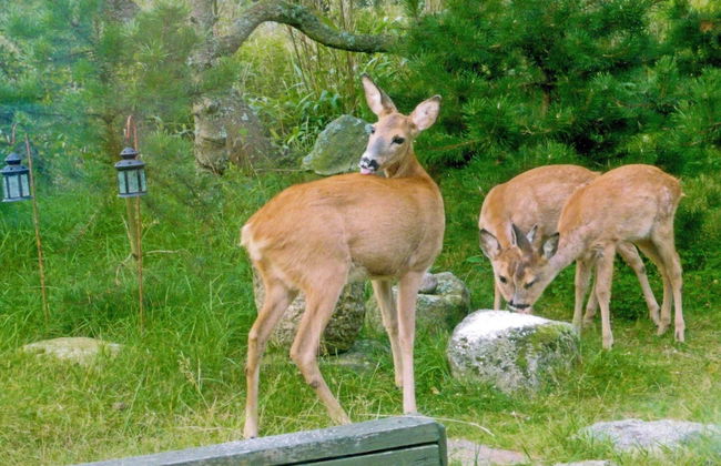 Cozy Apartment in Vejers Strand near Sea - Foto 33