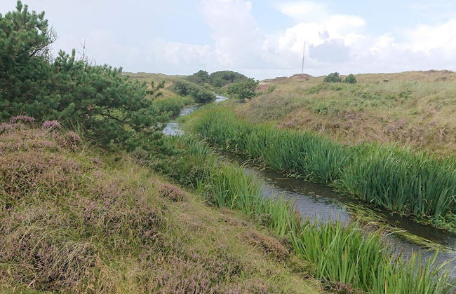 Cozy Apartment in Vejers Strand near Sea - Foto 7