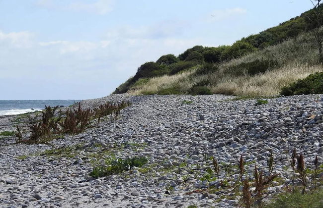 Holiday Home in Nykøbing Sj - Foto 31