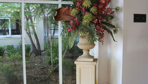 Entrada (vista interior)