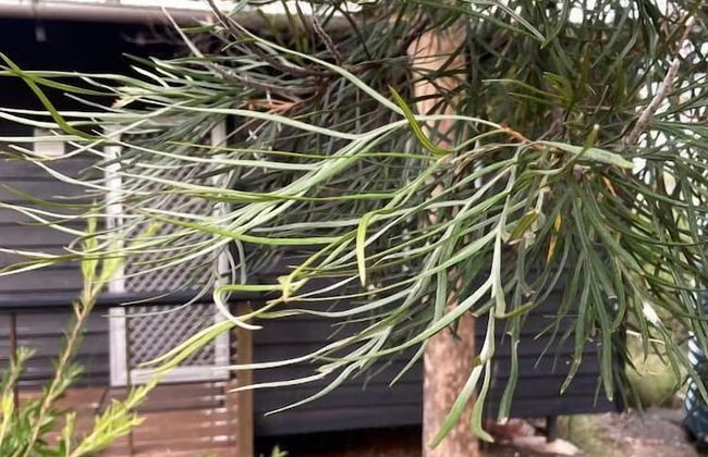 Redrock Retreat - Foto 12