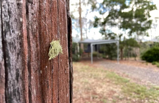 Redrock Retreat - Foto 15