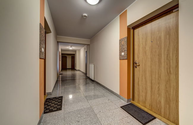 Rint - Centrum Kaczorowskiego - Foto 33