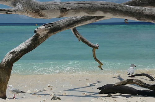 Photo 17 - Tranquility By The Course Port Douglas