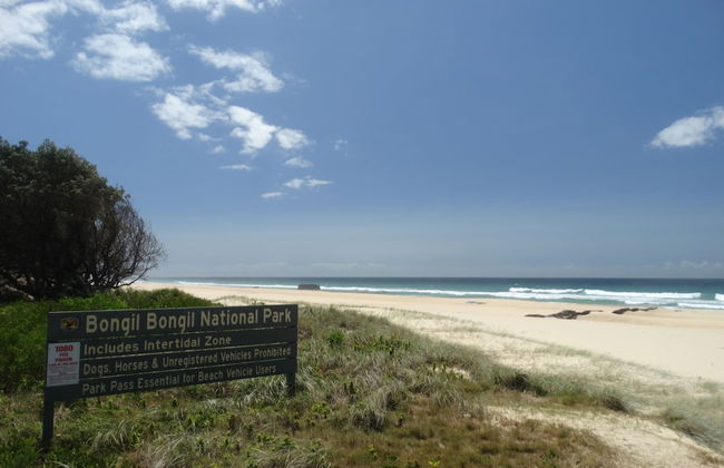 Tuckers Rocks Cottage - Foto 14