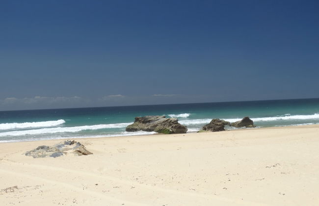 Tuckers Rocks Cottage - Foto 13
