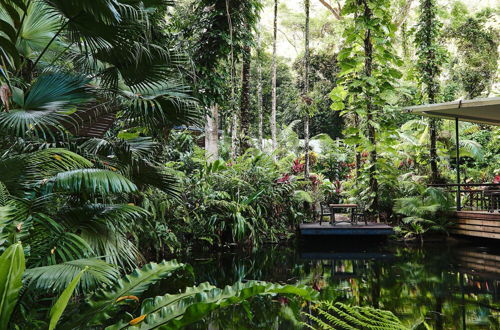 Photo 64 - Daintree Ecolodge