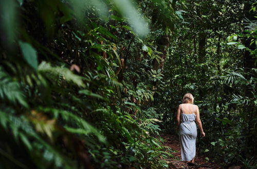 Photo 31 - Daintree Ecolodge