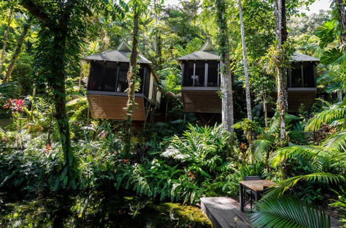 Foto 60 - Daintree Ecolodge