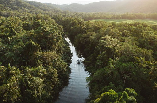 Foto 61 - Daintree Ecolodge