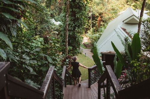 Photo 52 - Daintree Ecolodge