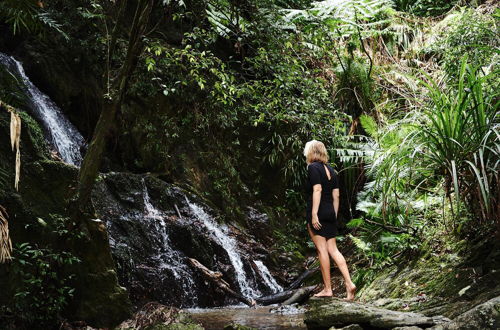 Photo 33 - Daintree Ecolodge