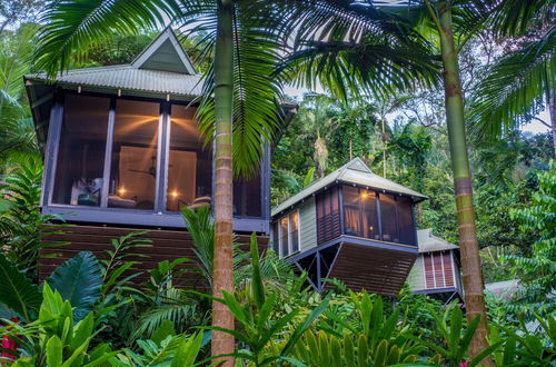 Photo 18 - Daintree Ecolodge