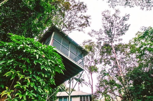 Photo 59 - Daintree Ecolodge