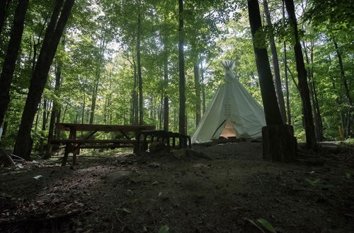 Photo 11 - Parc Omega