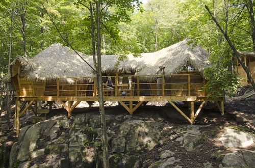 Photo 47 - Parc Omega