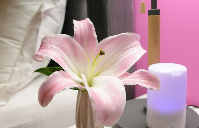 Puli Waltz Villa - Photo 14