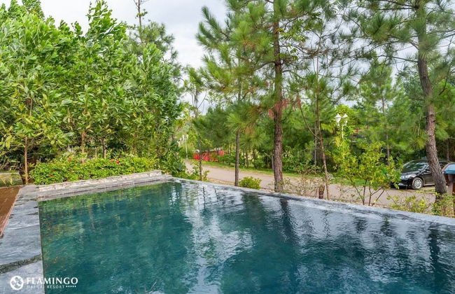 Villa Flamigo Dai Lai Chinh Chu - Foto 10