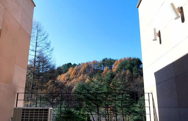 Hugel Heim Pension - Photo 79