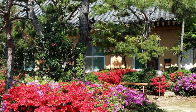 Photo 1 - Gyeongju KB Pension