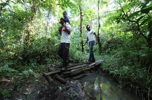 Foto 7 - Bushbaby Lodge