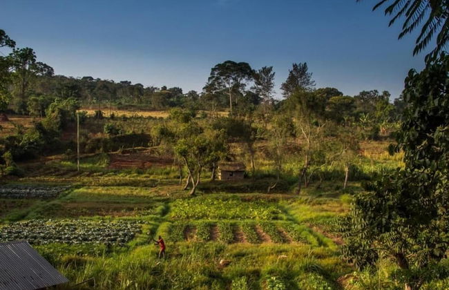 Bushbaby Lodge - Foto 13