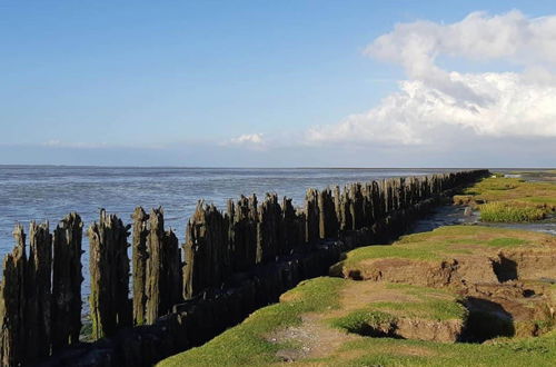 Foto 52 - Luxury Original Mudflat House in Friesland