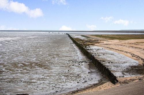 Foto 47 - Luxury Original Mudflat House in Friesland