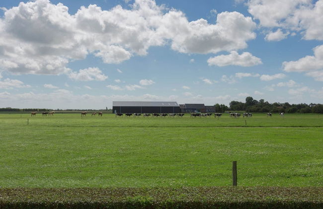 Holiday Home in Oostkapelle Near Forest - Photo 26