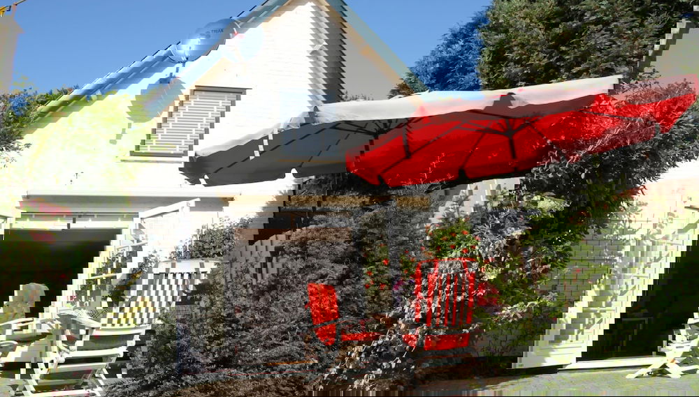 Imagem principal