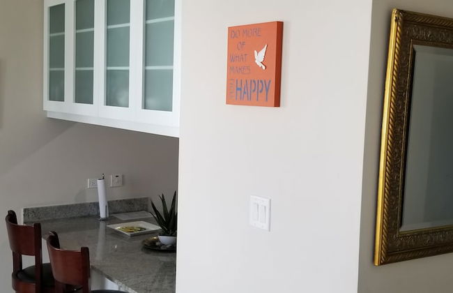 New Kingston Guest Apt at Kingsway - Photo 10