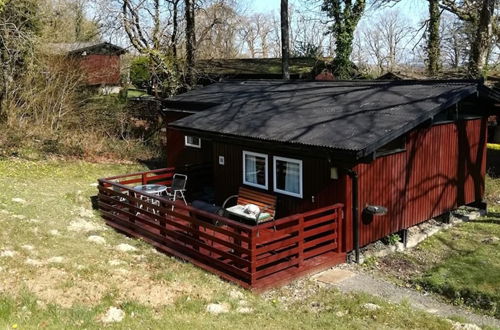 Photo 1 - Nuthatch Lodge is set in 24 Acres of Wood/parkland Near the Village of Cenarth