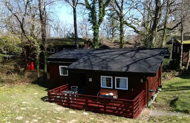 Nuthatch Lodge is set in 24 Acres of Wood, Parkland Near the Village of Cenarth - Foto 19