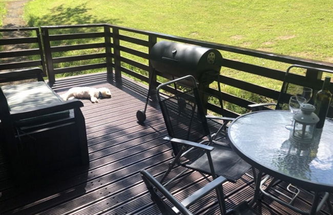 Nuthatch Lodge is set in 24 Acres of Wood, Parkland Near the Village of Cenarth - Foto 21
