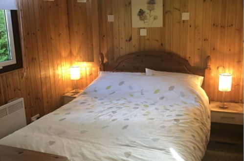 Foto 2 - Nuthatch Lodge is set in 24 Acres of Wood/parkland Near the Village of Cenarth