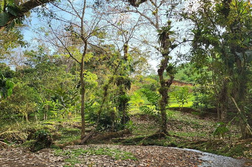 Photo 42 - Jaco-carara 3 Bdrm Surrounded by Rainforest With Private Pool