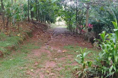 Photo 36 - Jaco-carara 3 Bdrm Surrounded by Rainforest With Private Pool