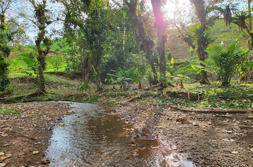 Photo 40 - Jaco-carara 3 Bdrm Surrounded by Rainforest With Private Pool