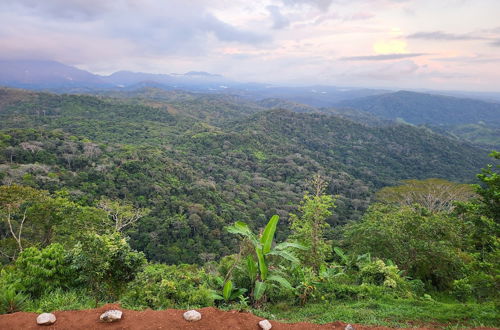 Photo 46 - Jaco-carara 3 Bdrm Surrounded by Rainforest With Private Pool