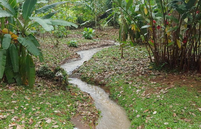 Jaco-carara 3 Bdrm Surrounded by Rainforest With Private Pool - Foto 36