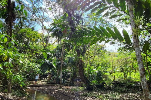 Photo 41 - Jaco-carara 3 Bdrm Surrounded by Rainforest With Private Pool