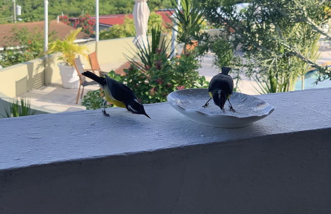 2-bedroom Apartment With Seaviews - Foto 24